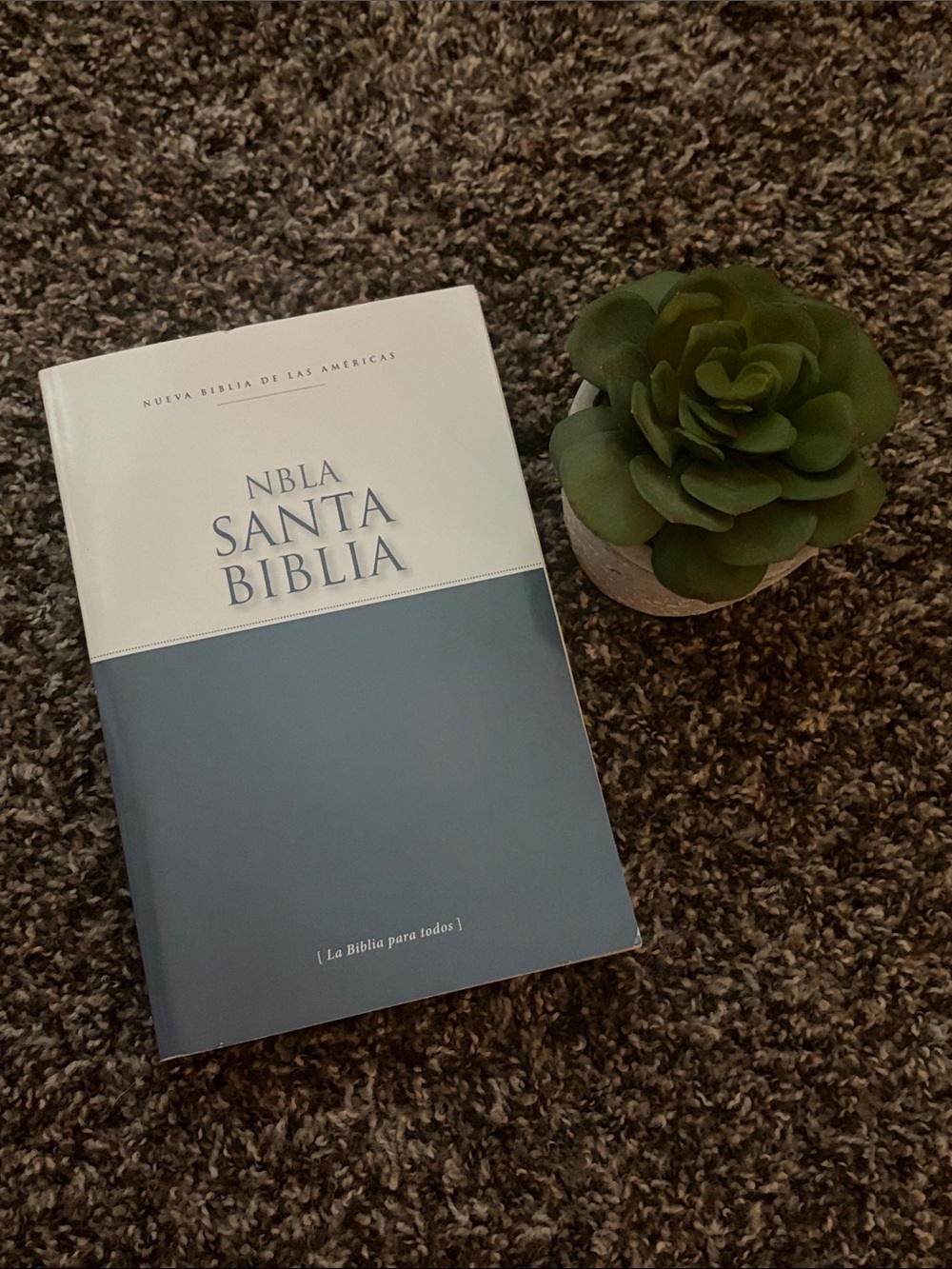 NEW NBLA Santa Biblia, Spanish Bible Soft Cover Copyright 2022